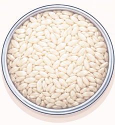 Kurnool Rice